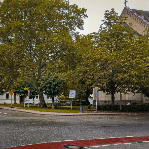 Ein Ludwig-Wilhelm-Platz ohne Touristenbusse: Die FBB kämpft weiter